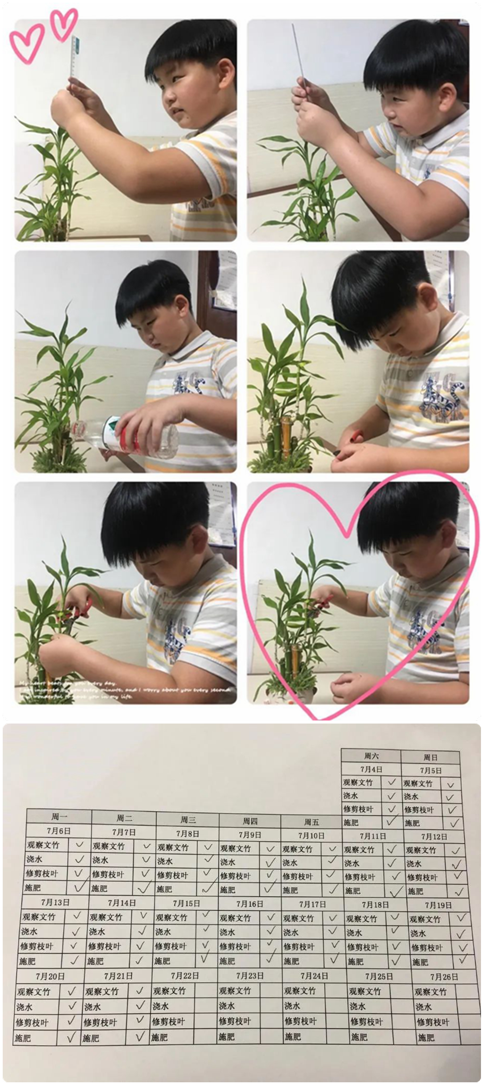 微信图片_20200725155929.jpg